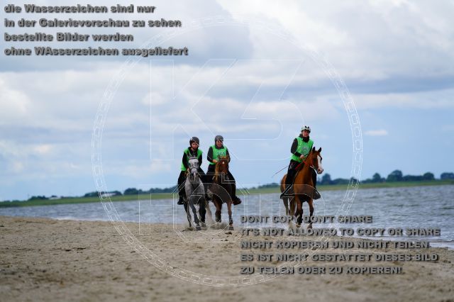 s_K3F05027.JPG